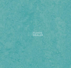Линолеум Forbo Marmoleum Marbled Fresco 3269-326935 turquoise фото 1 | FLOORDEALER